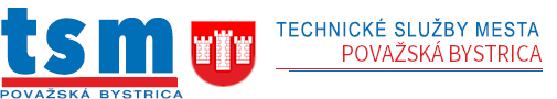 Logo TSM